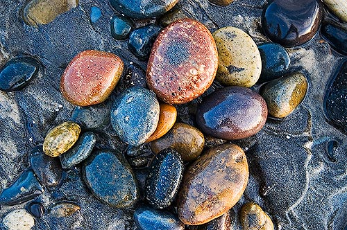 Torrey Pines Cobbles